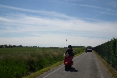 eldi_2014-115