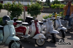 eldi_2014-15