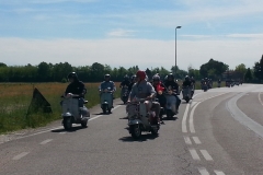 eldi_2014-24