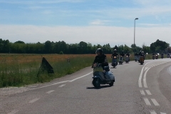 eldi_2014-28