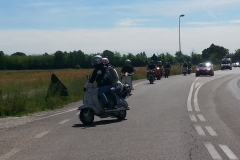 eldi_2014-29